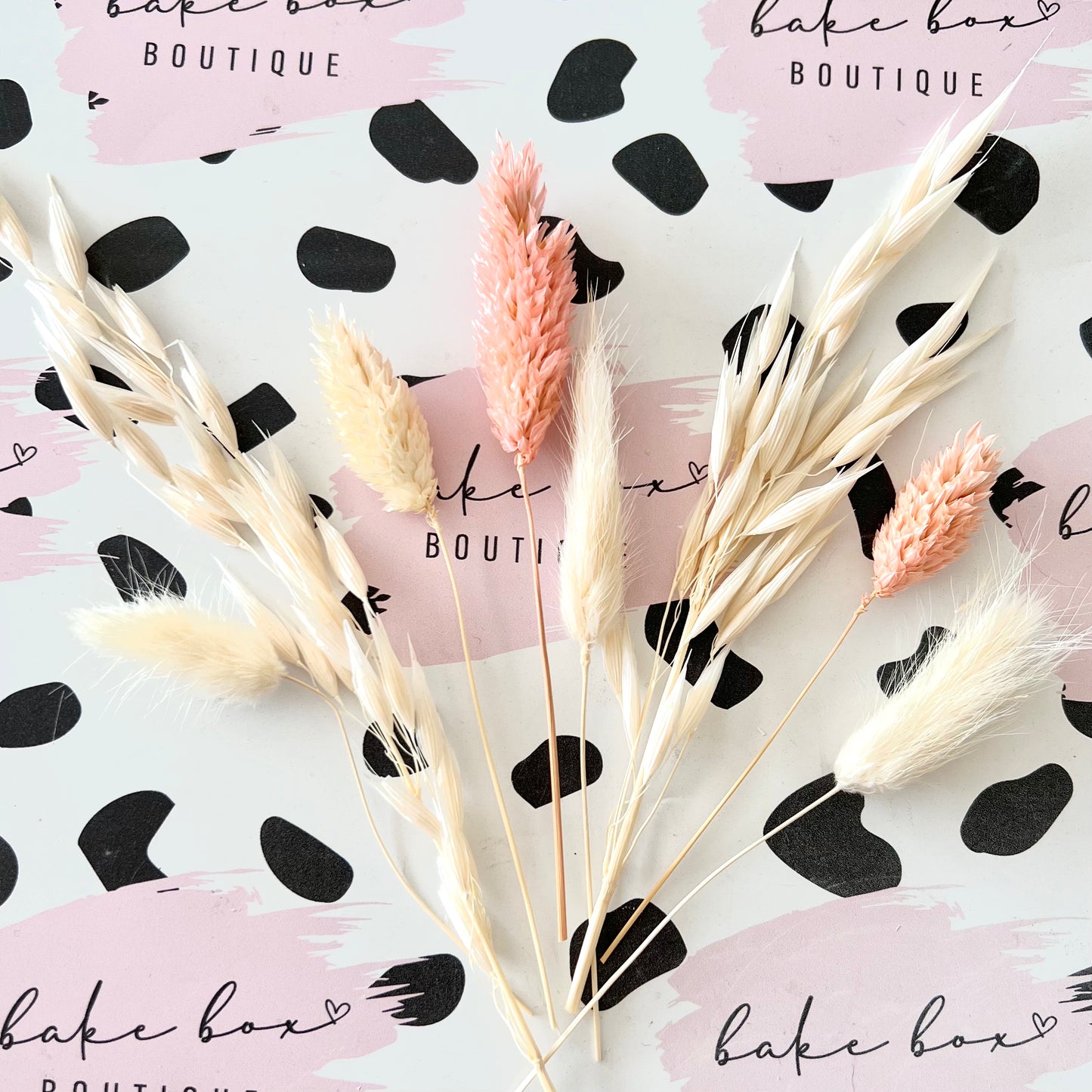 CUPCAKE KIT - MINI BUNCH - CORAL PINK AND WHITE E