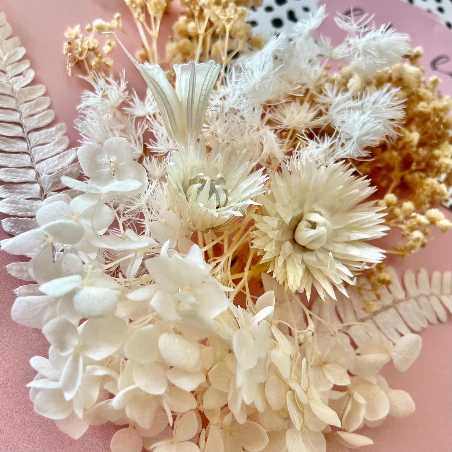 DRIED FLOWERS WHITES