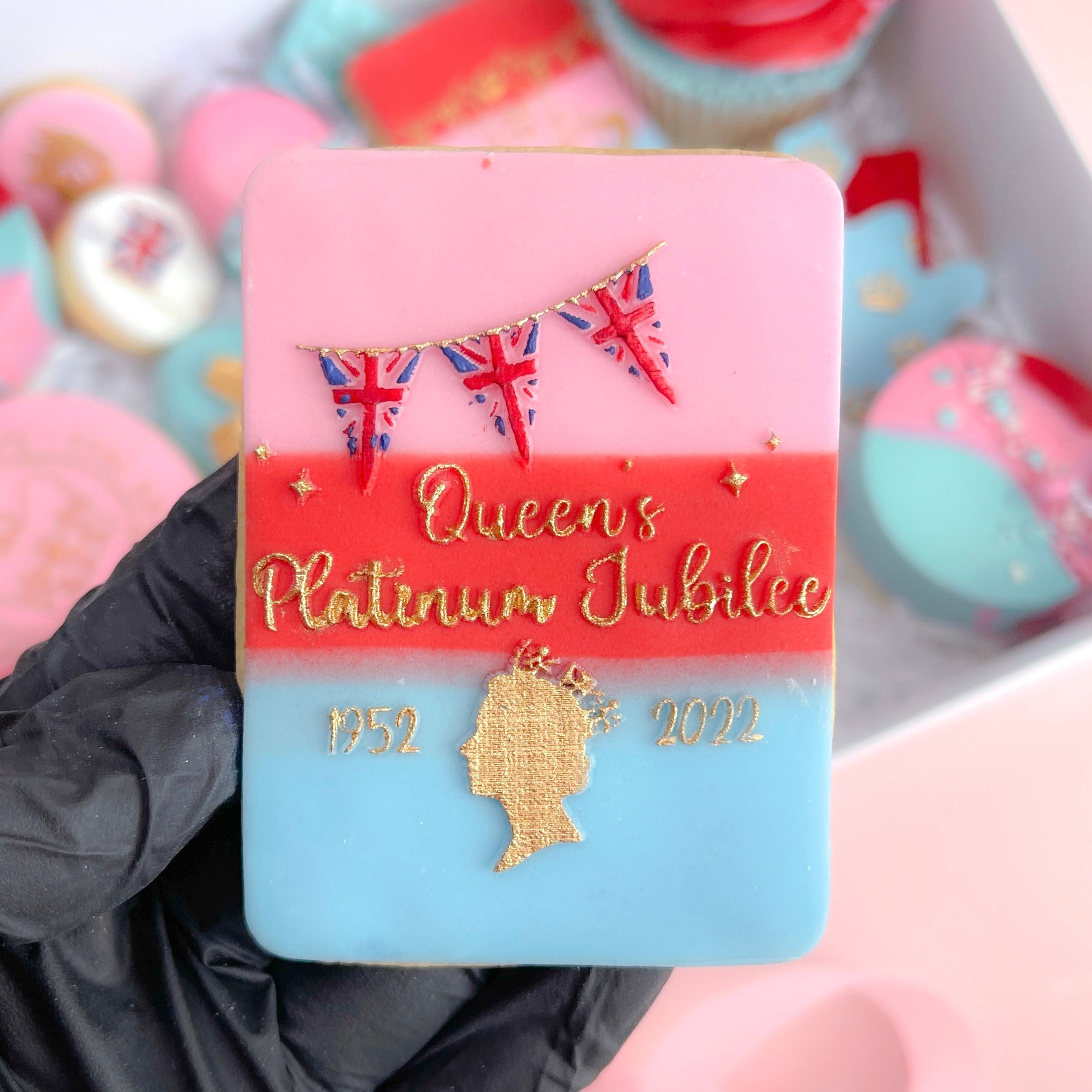 THE QUEEN'S PLATINUM JUBILEE BUNTING RAISED EMBOSSER Bake Box Boutique